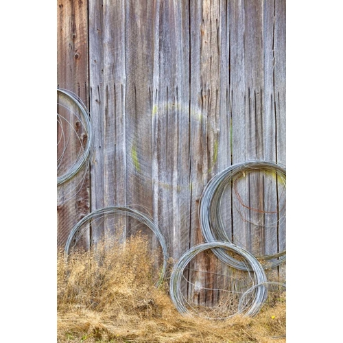 WA, Silverdale Wire coiled on barn wall
